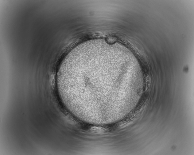 X0000103270699200809191742