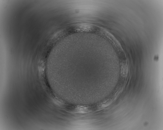 X0000103270701200809191742