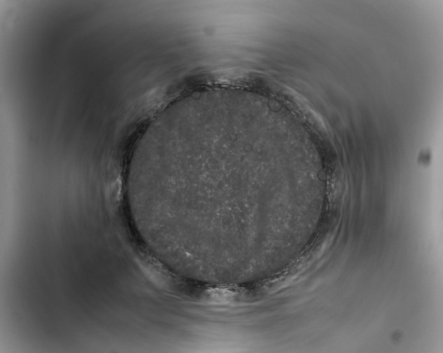 X0000103270703200809191742