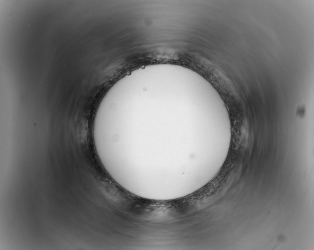 X0000103270704200809191742