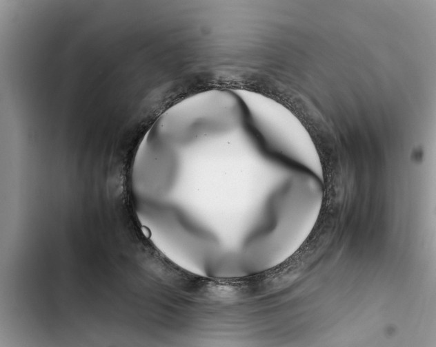 X0000103270706200809191742