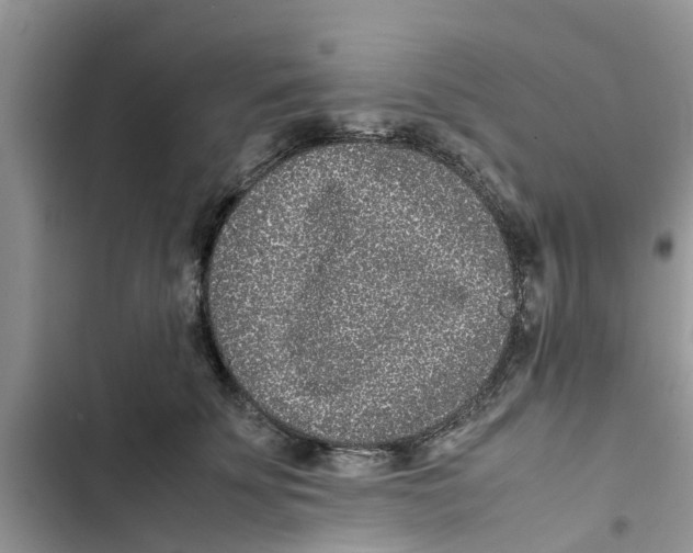X0000103270707200809191742