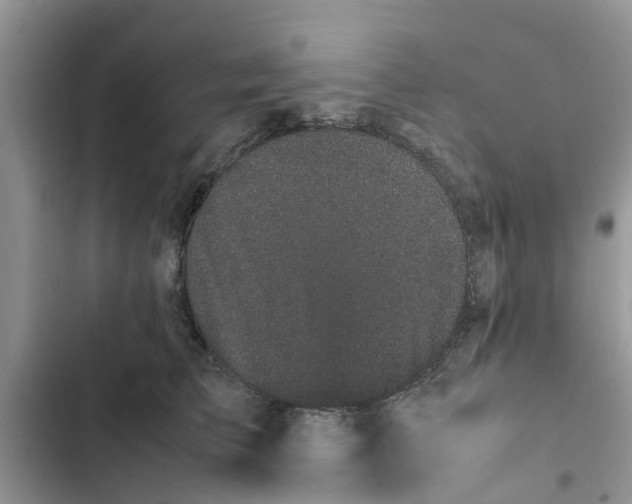 X0000103270709200809191742