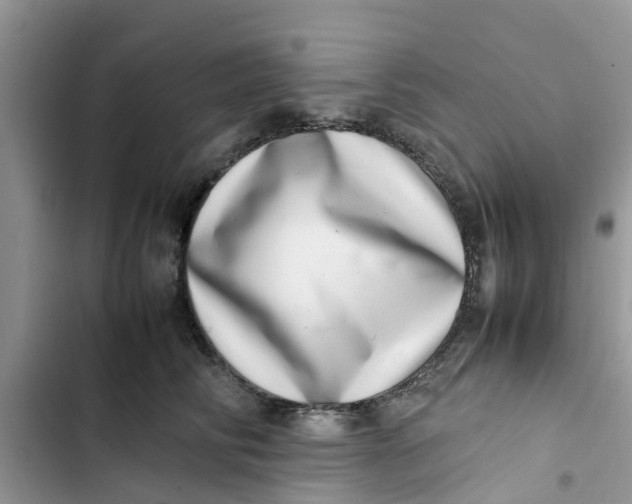 X0000103270710200809191742