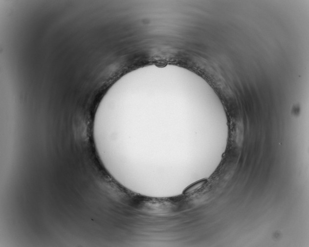 X0000103270712200809191742
