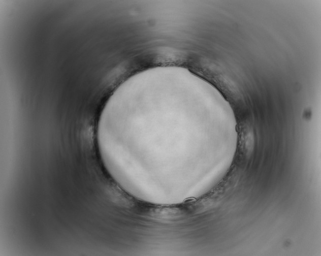 X0000103270716200809191742