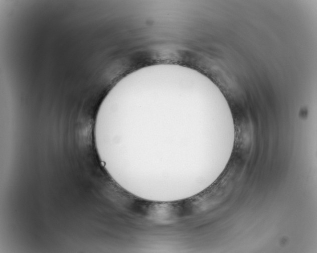 X0000103270717200809191742