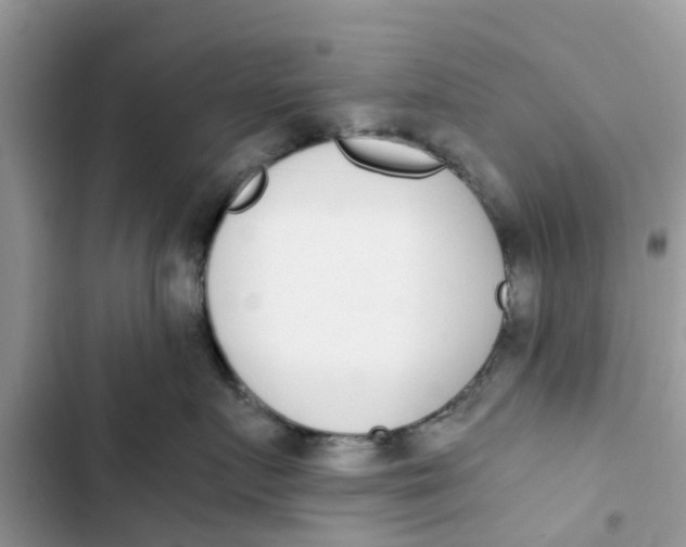 X0000103270719200809191742