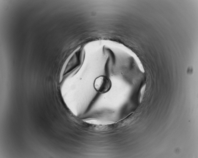 X0000103270720200809191742