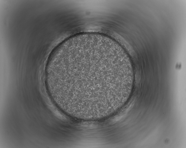 X0000103270721200809191741