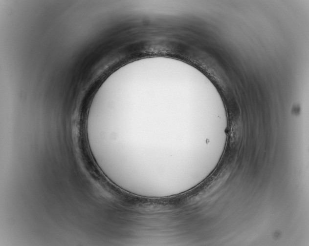 X0000103270722200809191741