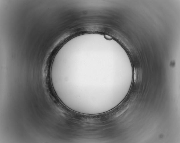 X0000103270723200809191741
