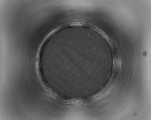 X0000103270724200809191741