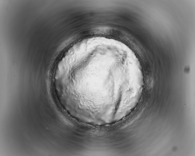 X0000103270725200809191741