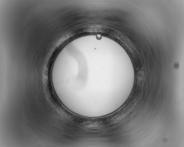 X0000103270727200809191741