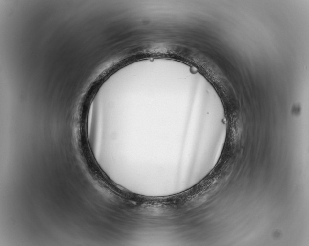 X0000103270728200809191741