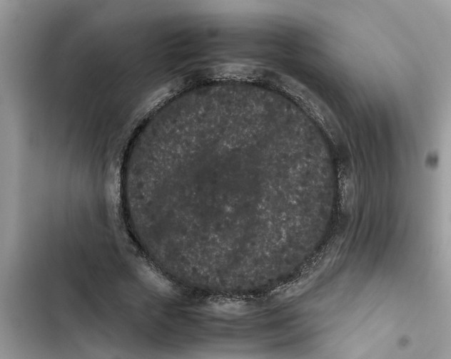 X0000103270729200809191741
