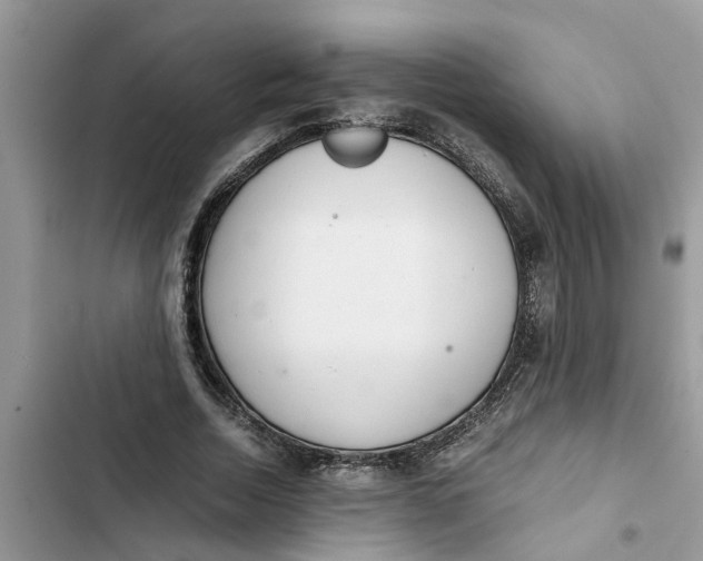 X0000103270730200809191741