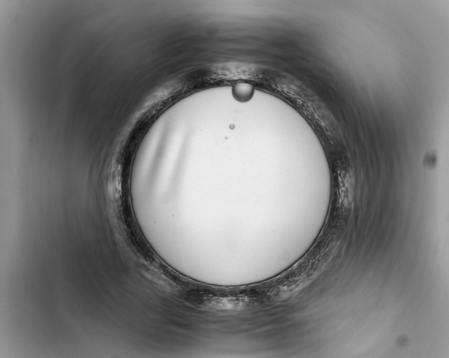 X0000103270731200809191741
