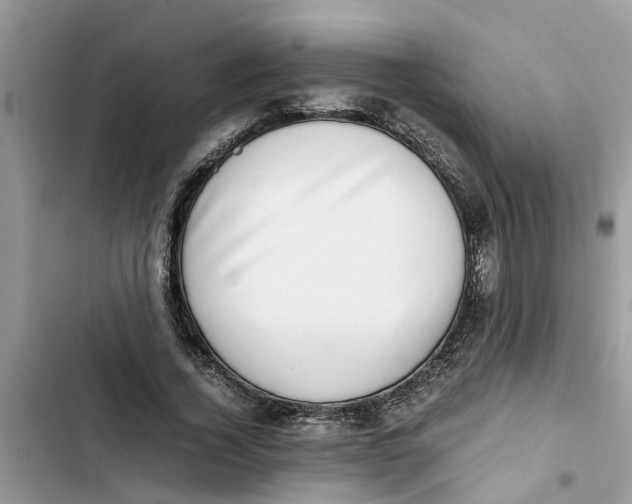 X0000103270732200809191741