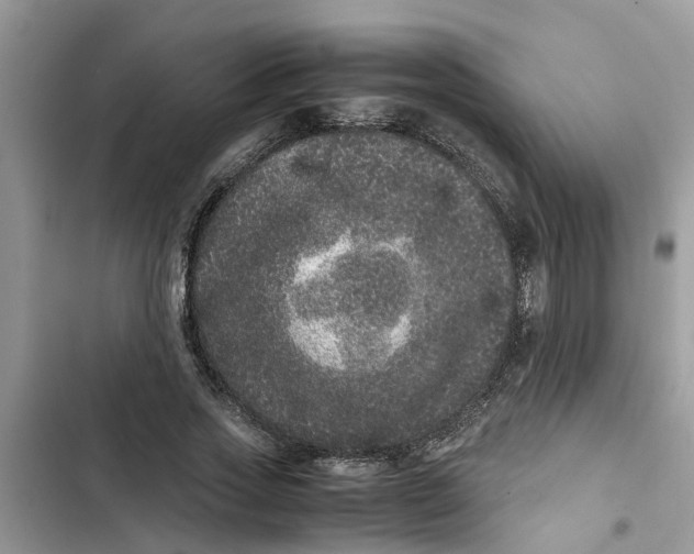 X0000103270733200809191741