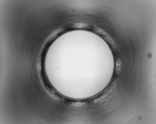 X0000103270734200809191741