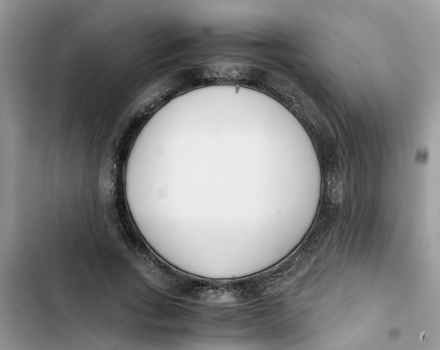 X0000103270735200809191742