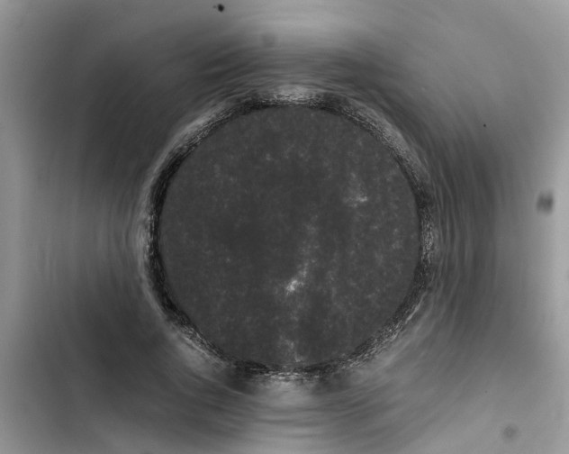 X0000103270736200809191742