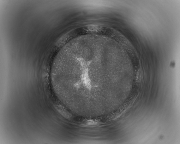 X0000103270737200809191742