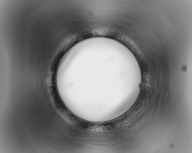 X0000103270738200809191742