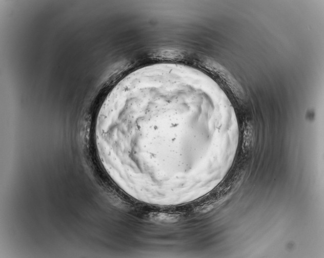 X0000103270739200809191742