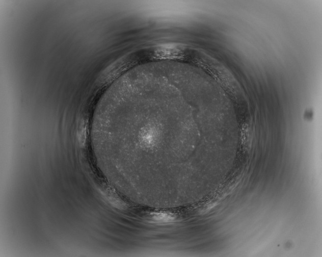 X0000103270741200809191742