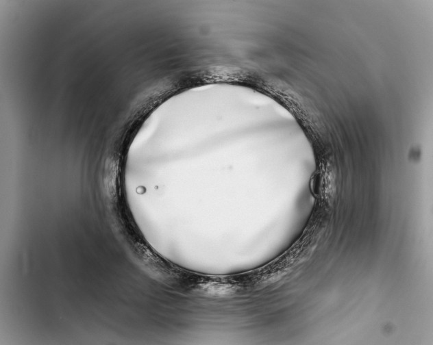 X0000103270742200809191742
