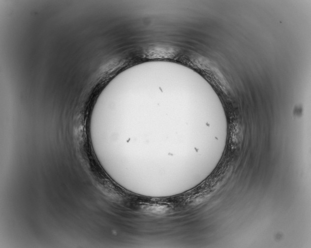 X0000103270743200809191742