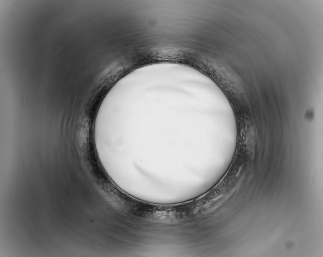X0000103270744200809191742
