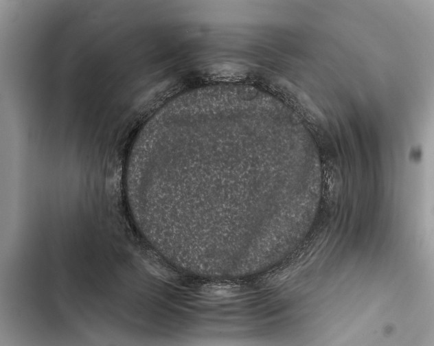 X0000103270745200809191742