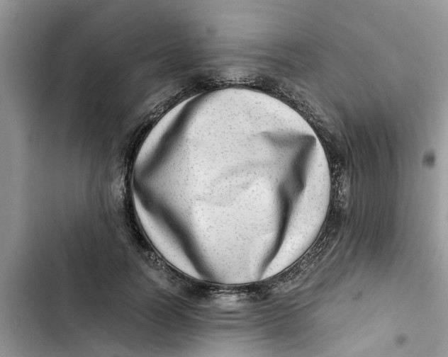 X0000103270746200809191742