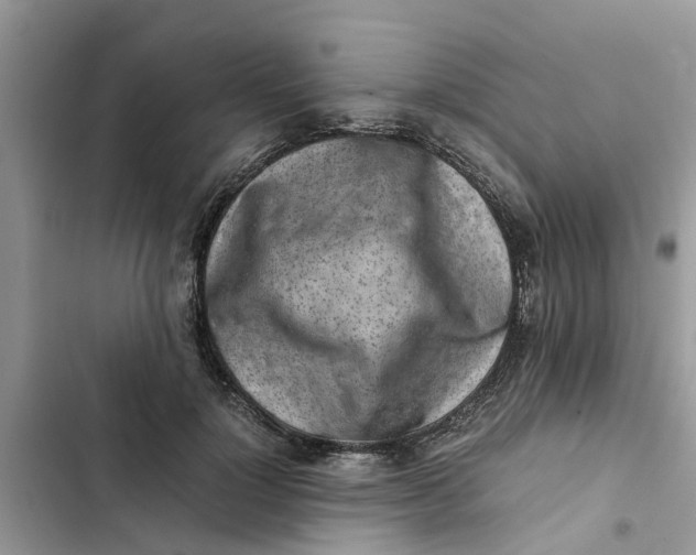 X0000103270748200809191742