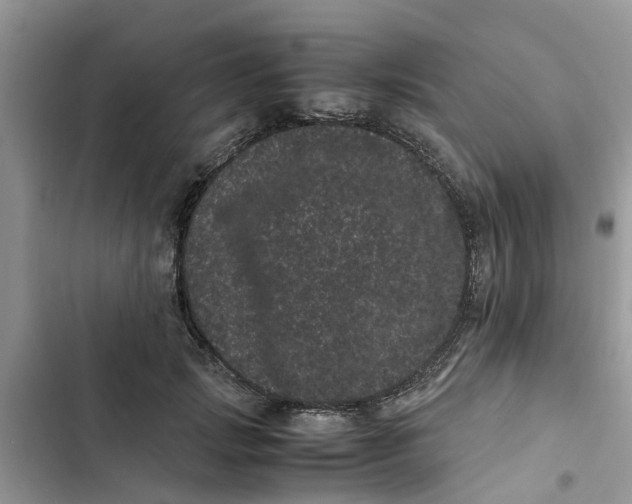 X0000103270749200809191742