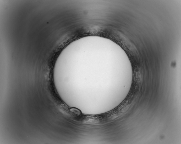 X0000103270750200809191742