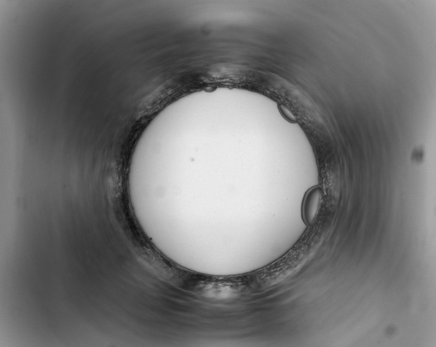 X0000103270751200809191742