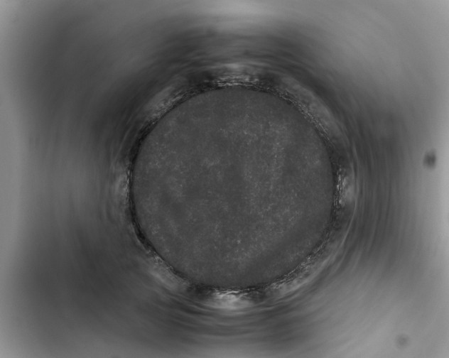 X0000103270753200809191742
