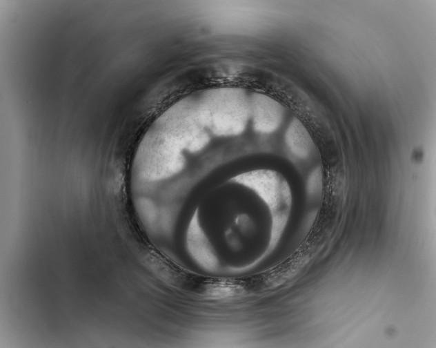 X0000103270754200809191742