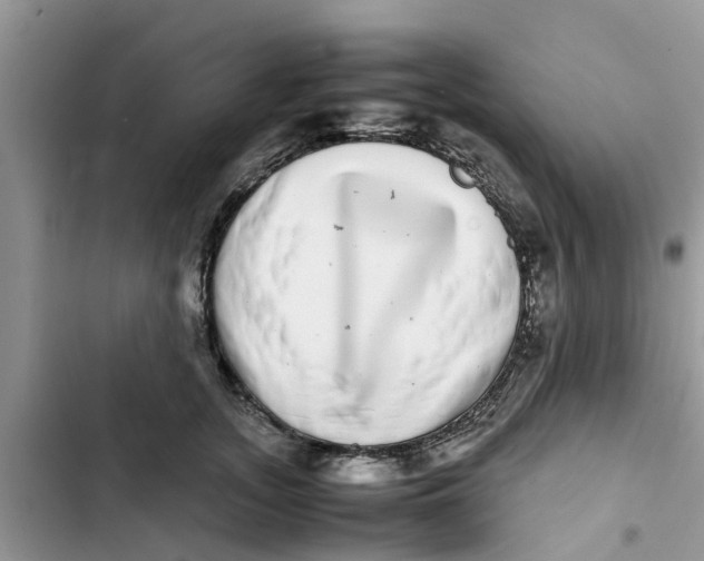 X0000103270755200809191742