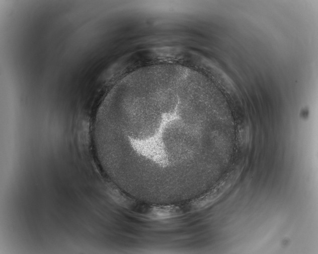 X0000103270757200809191742