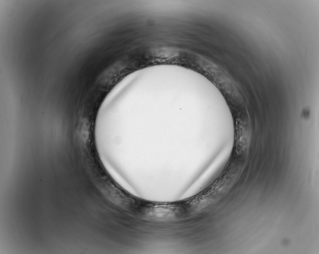 X0000103270758200809191742