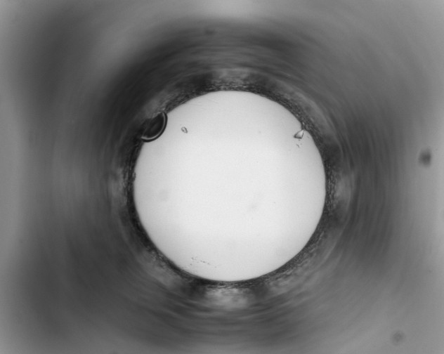 X0000103270759200809191742