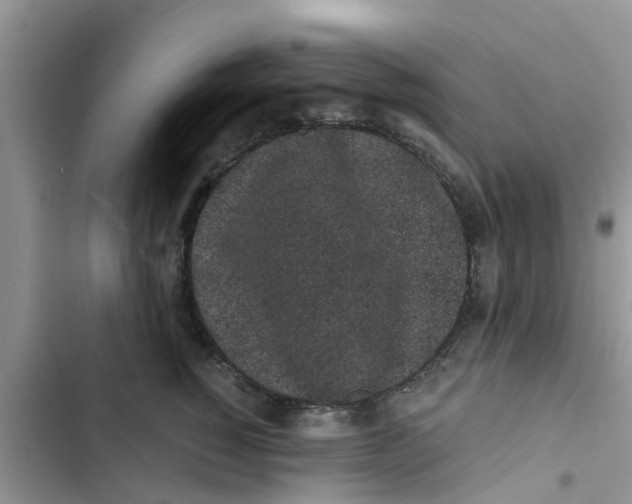 X0000103270760200809191742