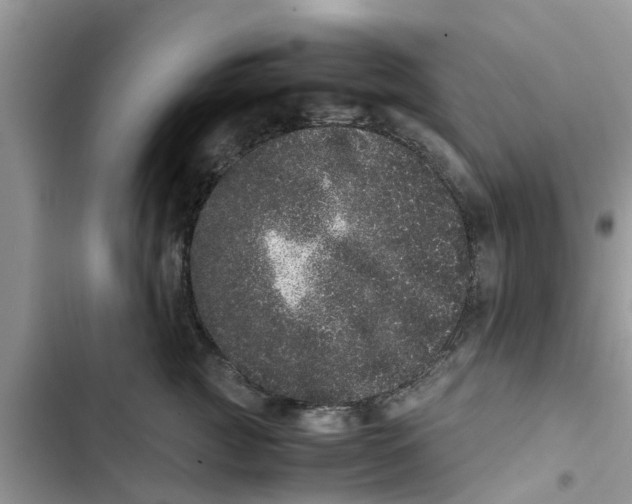 X0000103270761200809191742