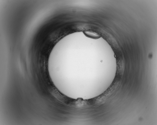 X0000103270762200809191742
